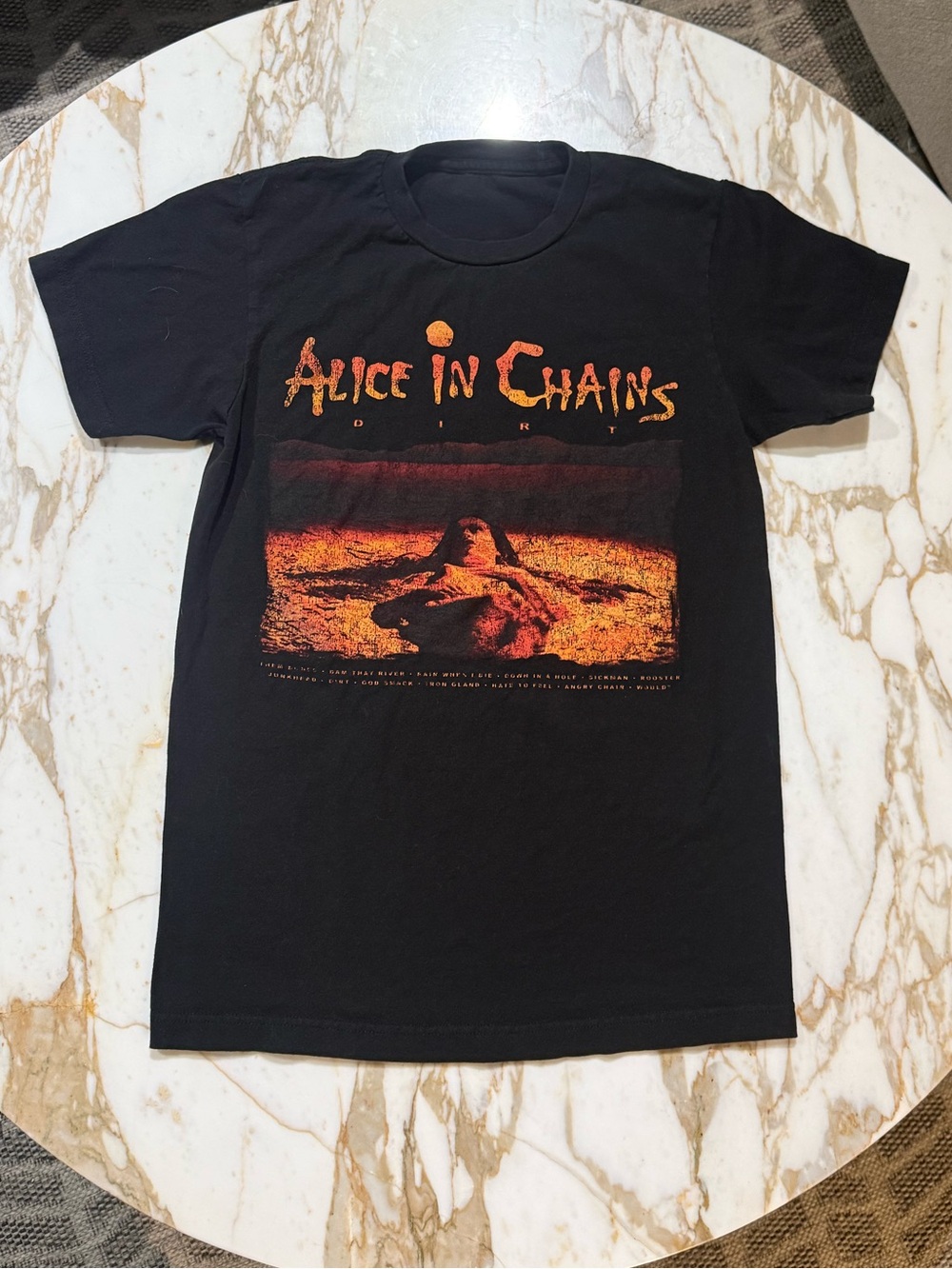 Alice in Chains Dirt Album Graphic T-Shirt